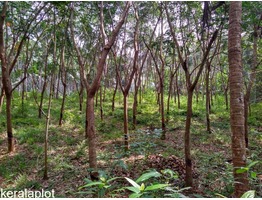 2.47 acre rubber plantation with 3BHK tiled house for sale.