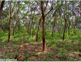 2.47 acre rubber plantation with 3BHK tiled house for sale.