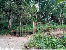 4 Acres of rubber estate  with 1700 sq. ft. house for sale near Kurumannu, Palai, Kottayam Dist.