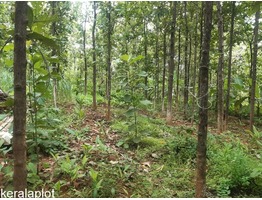 80 cent land for sale near by Pathirippala Town in Palakkad
