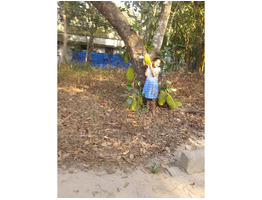 10 CENTS LAND ON TAAR ROAD