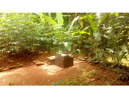 25cent property with old house for sale at Arakkulam, near kanjar