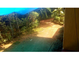 25cent property with old house for sale at Arakkulam, near kanjar