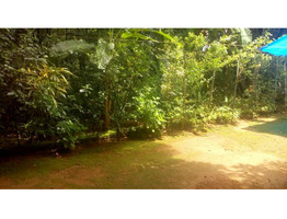 25cent property with old house for sale at Arakkulam, near kanjar