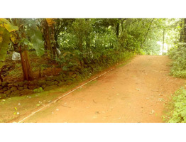 25cent property with old house for sale at Arakkulam, near kanjar