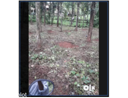 5.5 ACRES OF RUBBER STATE FOR SALE AT RANNI, PATHANAMTHITTA