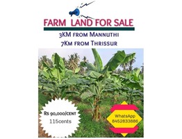 Agricultural Land For Sale