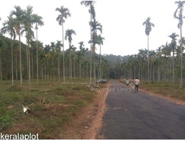 House Plot For Sale Near Krishnagiri Cricket Stadium Meenangadi Wayanad