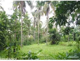 Residential Land for Sale in Thalakkad, Tirur, Malappuram