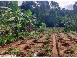Residential Land for Sale in Kummannoor, Pala, Kottayam