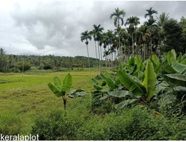 2 Acre 10 cent Farm Land For Sale In Kenichira URGENT