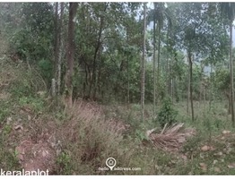 Commercial Land for Sale