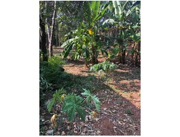 35 cent plot for sale in Mangad, Kollam