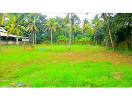 Land in bharanikkavu kollam +918129171813